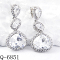 Latest Styles Earrings 925 Silver Jewelry (Q-6851)